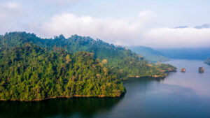 Vue aérienne des îlots boisés sur le lac Ba Bể